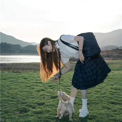 冰狗任务 封面